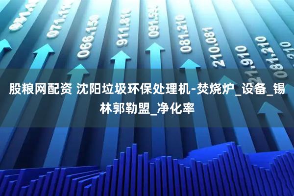 股粮网配资 沈阳垃圾环保处理机-焚烧炉_设备_锡林郭勒盟_净化率