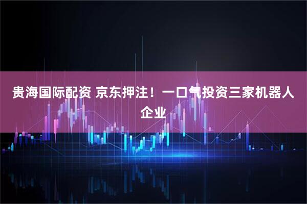 贵海国际配资 京东押注！一口气投资三家机器人企业