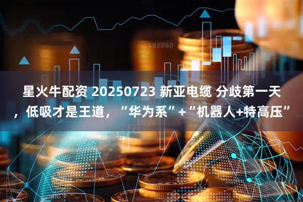 星火牛配资 20250723 新亚电缆 分歧第一天，低吸才是王道，“华为系”+“机器人+特高压”